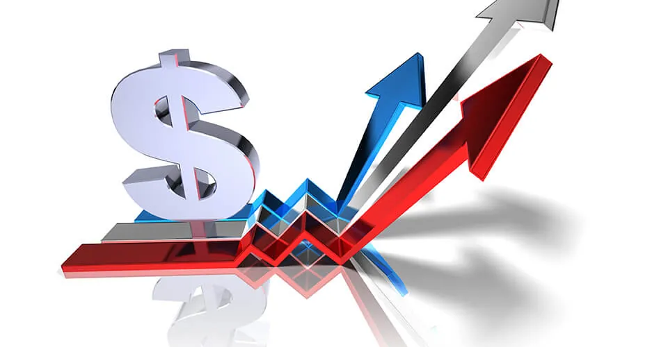 Hình ảnh phân tích phong độ gà chiến