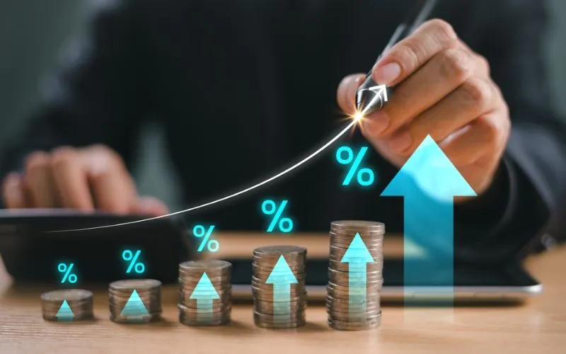 Hình ảnh gà chiến đang được huấn luyện