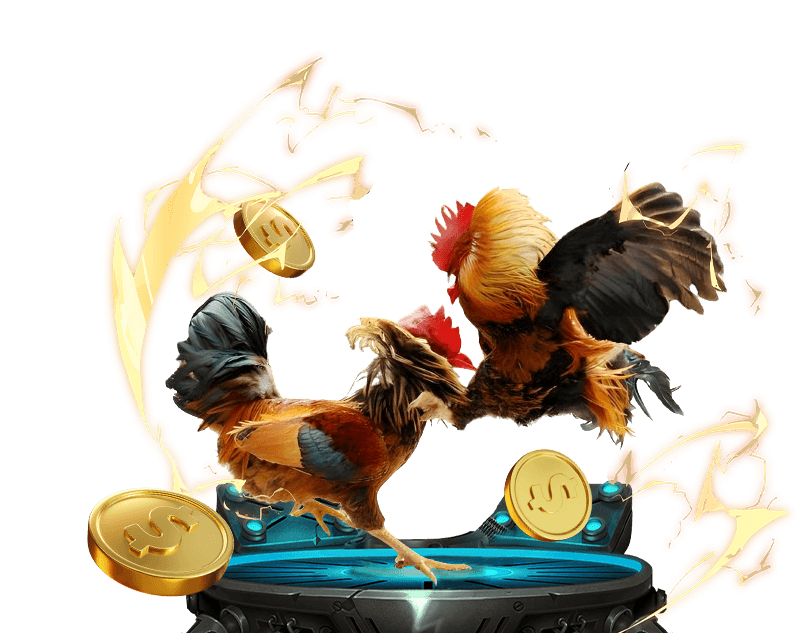 Các sự kiện khuyến mãi theo mùa và lễ hội tại OK365M