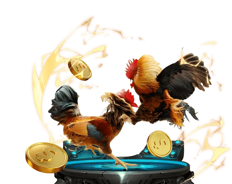 Trực tiếp đá gà HD tại ok365m